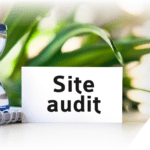 Website Audit for School Websites